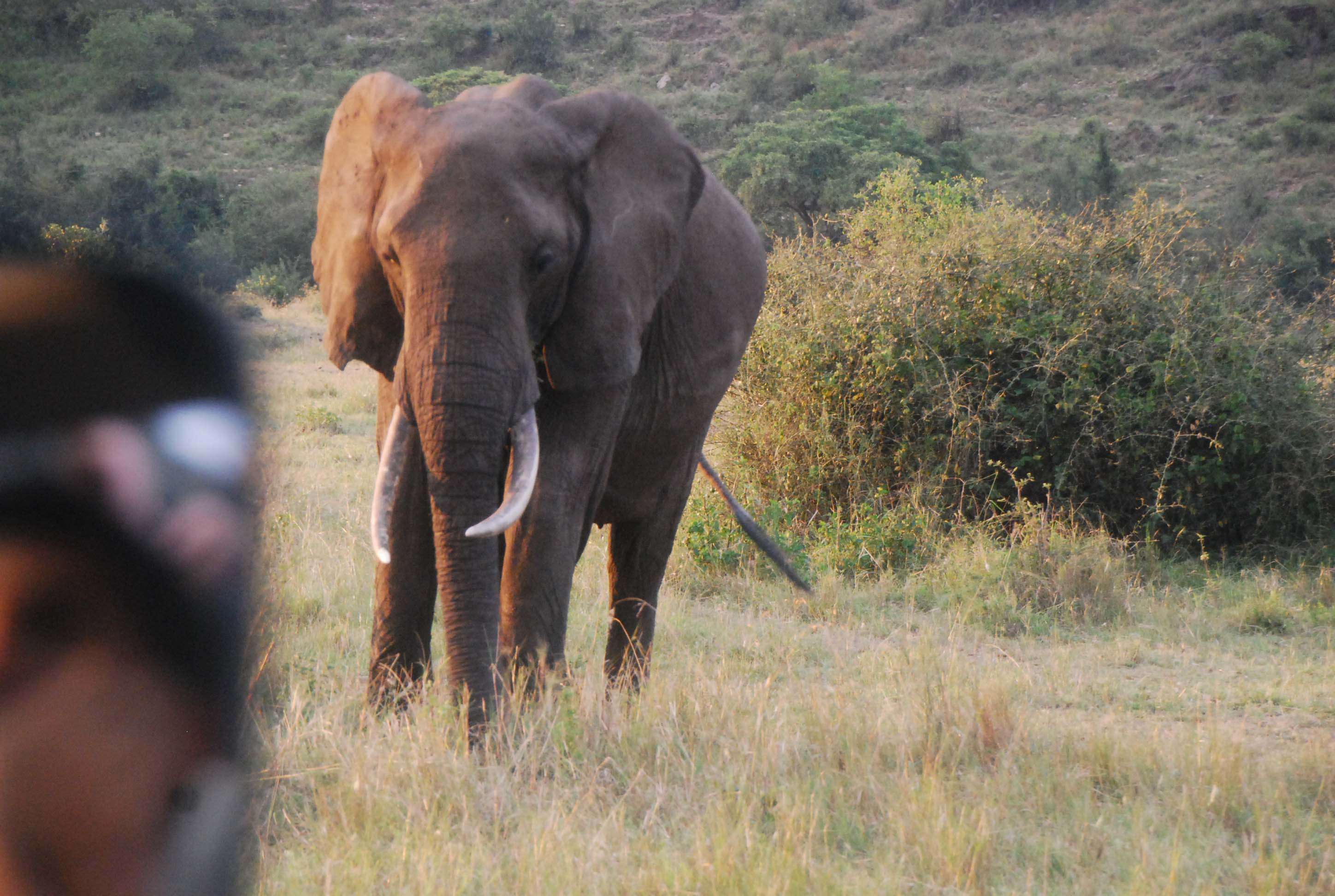 Regreso al Mara - Kenia - Blogs de Kenia - Enkewa y una maravillosa puesta de sol (13)